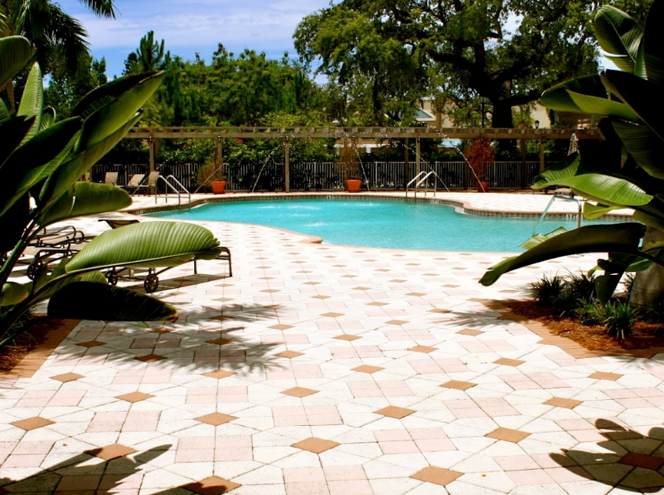 Swimming pool with patterned stone patio surrounded by foliage and trees.