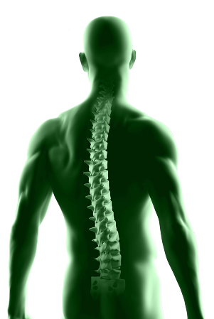 Man with transparent spine