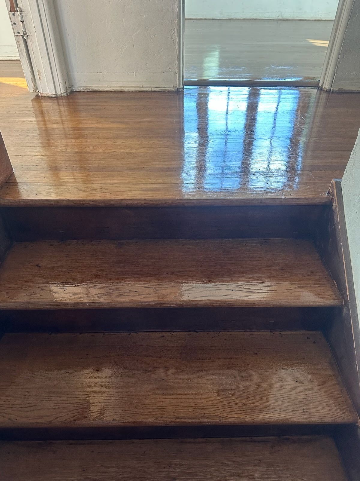 A set of freshly stained, glossy wooden stairs leading up to a hallway with polished hardwood floors.