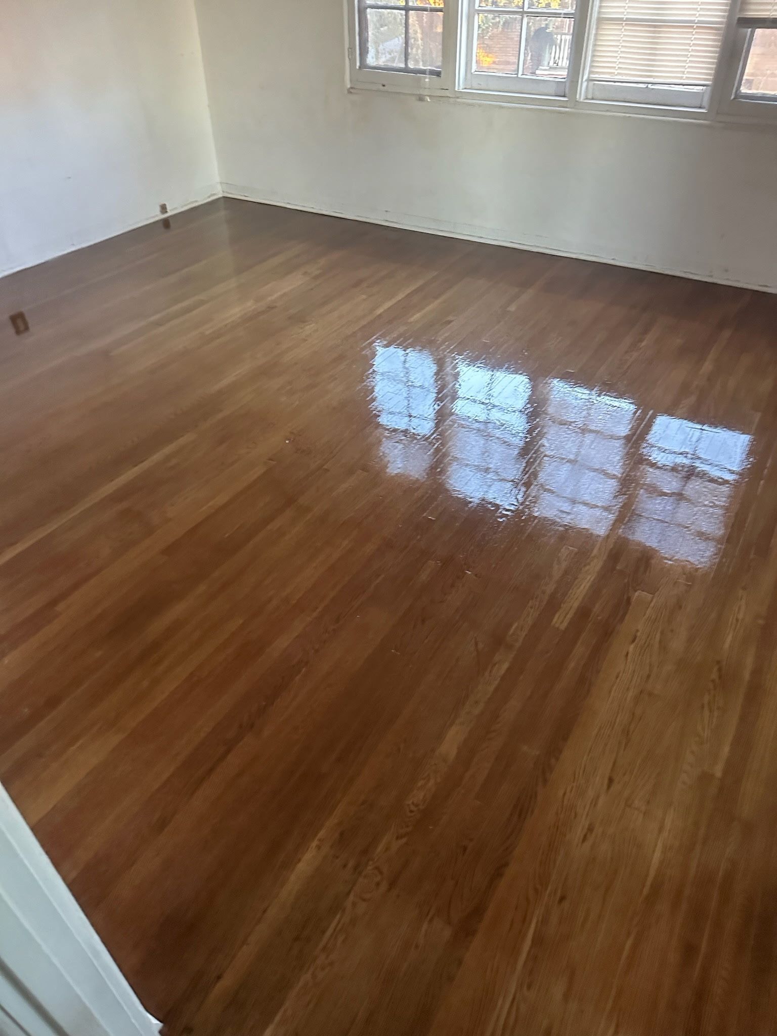 A freshly refinished, glossy brown hardwood floor in an empty room with white walls and a large multi-pane window.