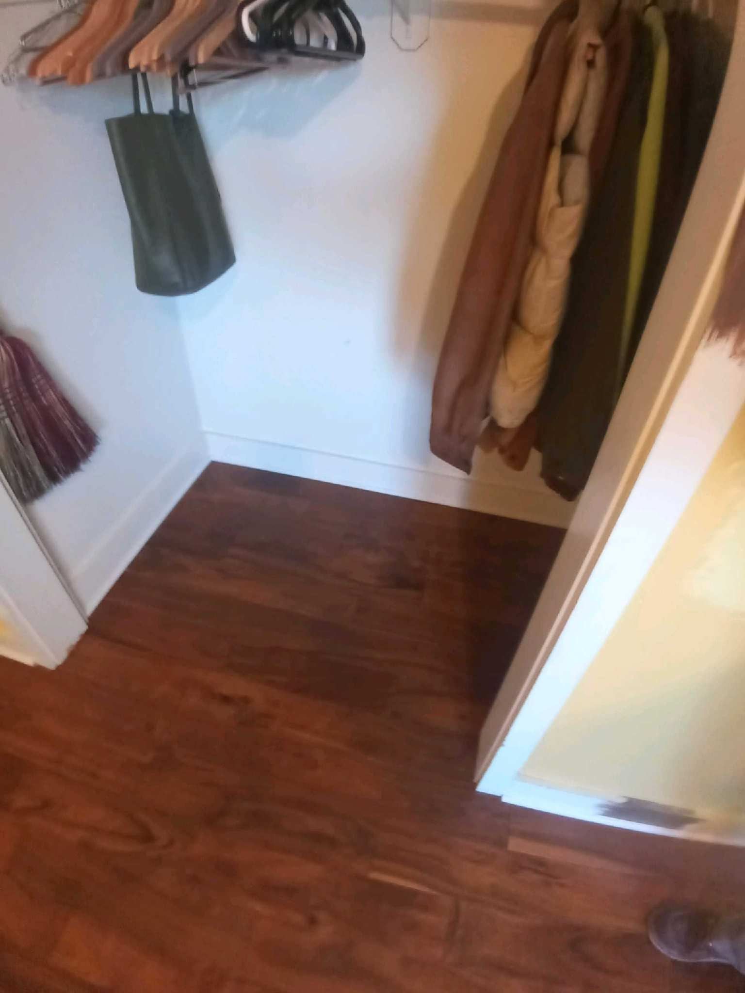 A closet with dark wood flooring, a green bag hanging on a hanger, and several jackets stored on a rod.