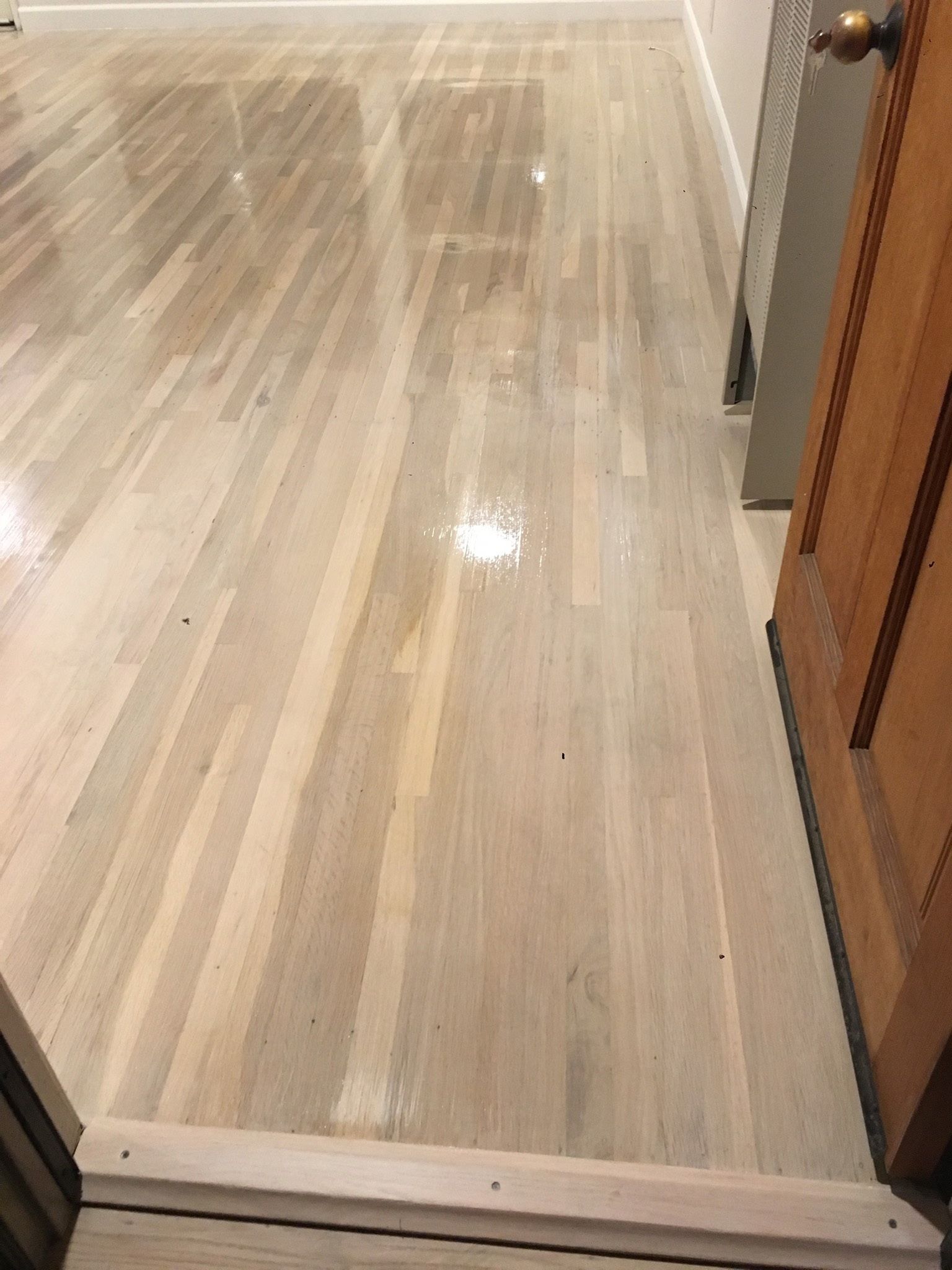 Light-colored, glossy hardwood flooring leading into a doorway with a wooden door and a threshold transition strip.