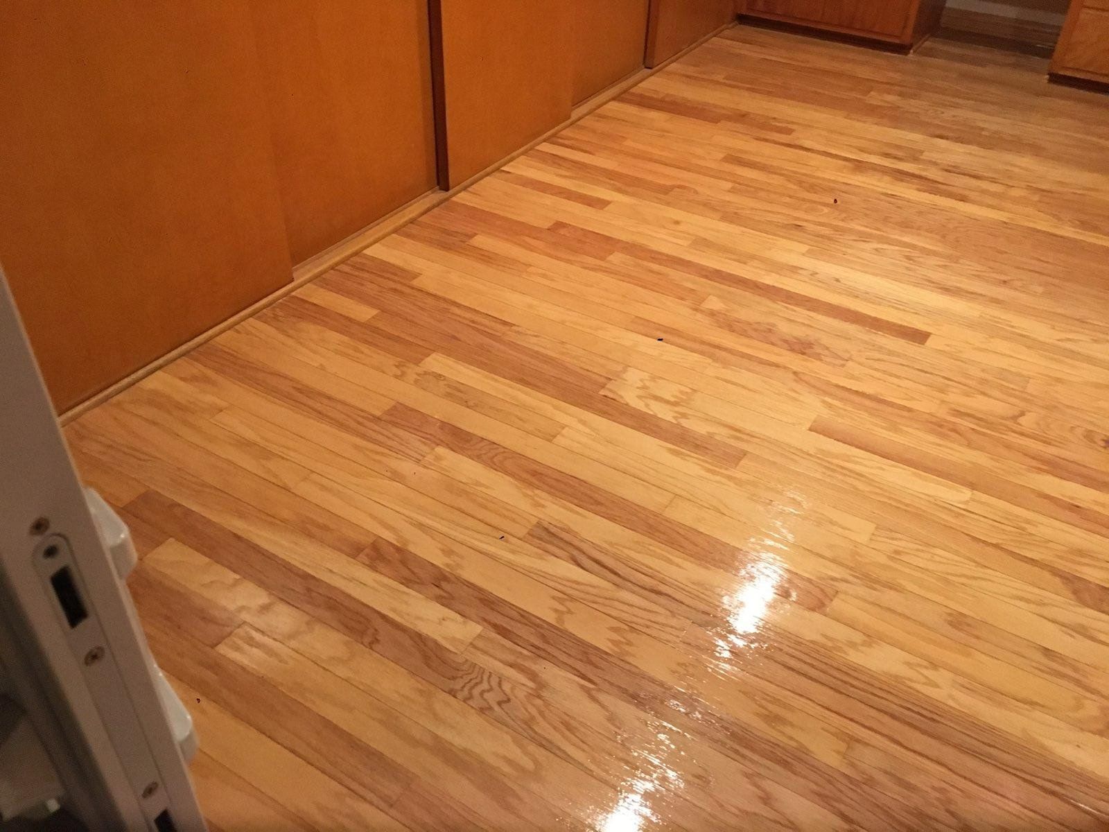 High-angle view of a shiny, light-toned hardwood floor extending from a closed door toward a wall of wooden cabinets.