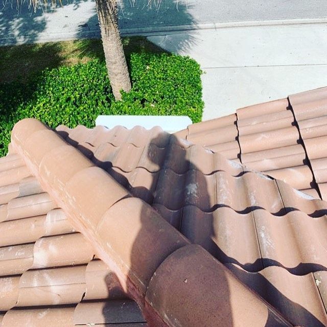 A roof with a lot of tiles and a tree in the background