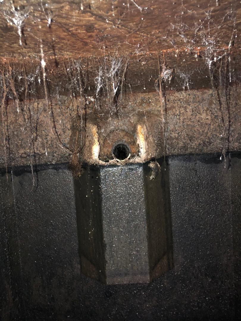 septic tank inspection