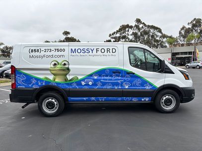 Mossy Ford van wrapped in blue water graphics with a cartoon frog on the side, parked outdoors.