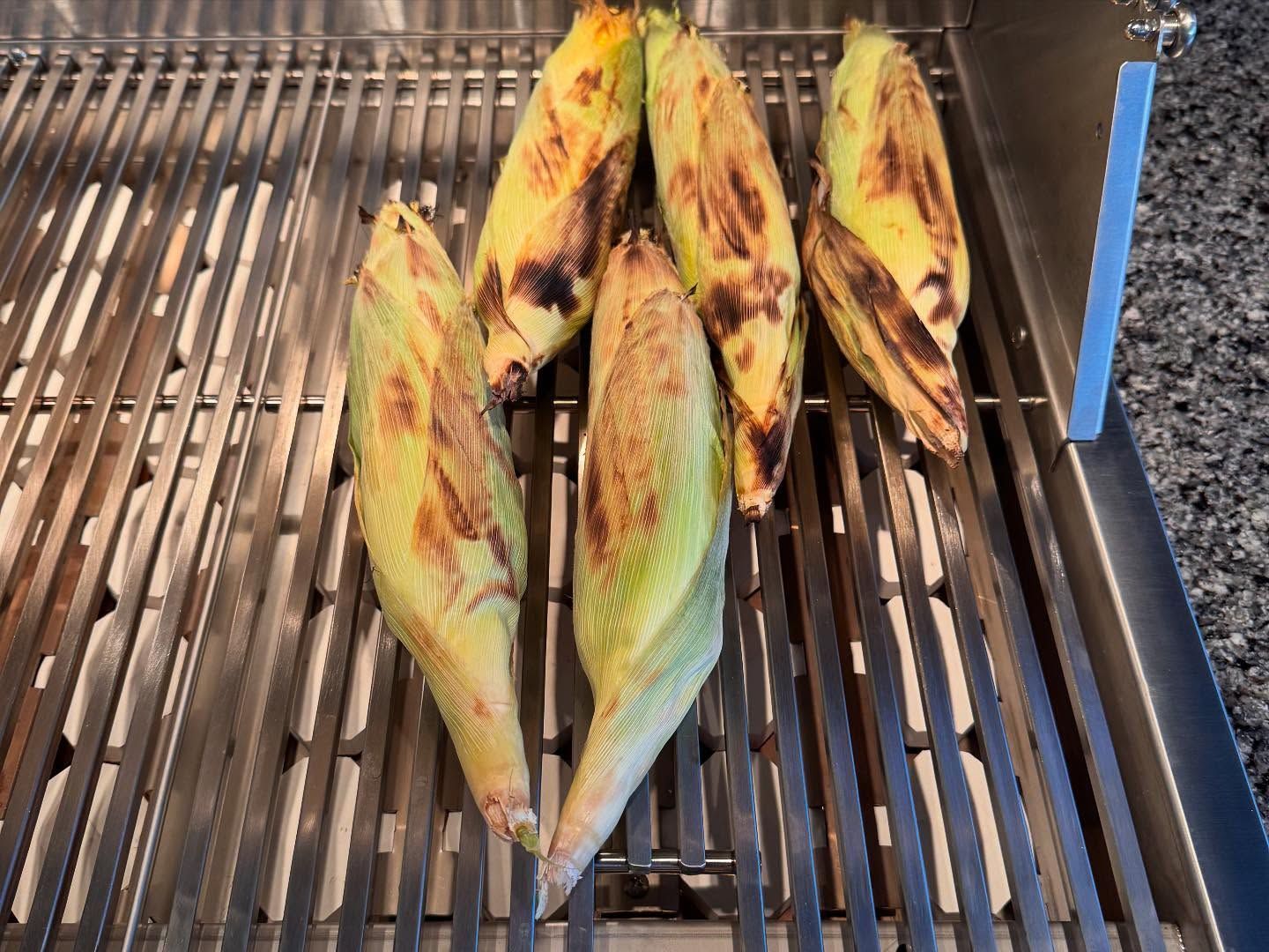 Corn on the cob grilling on a stainless steel grill. Green husks charring; yellow kernels inside.