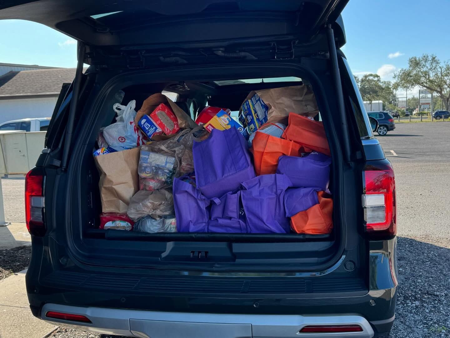 SUV trunk filled with grocery bags, including purple and orange reusable bags, outdoors.