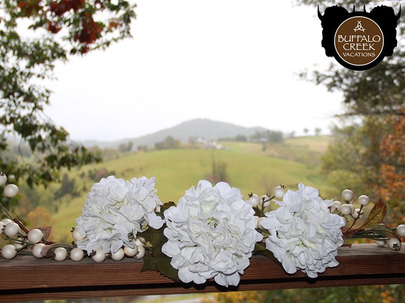 A row of white flowers on a railing with a mountain in the background