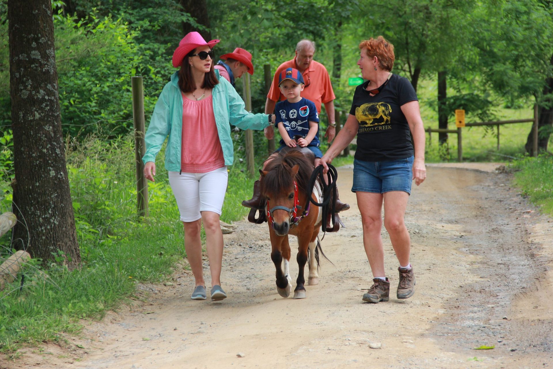 A group of people are walking down a dirt path next to a pony.