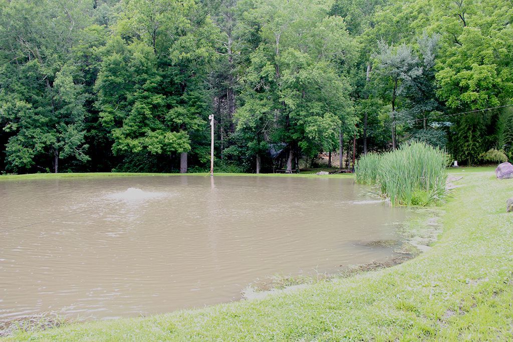 A flooded pond in a park with trees in the background