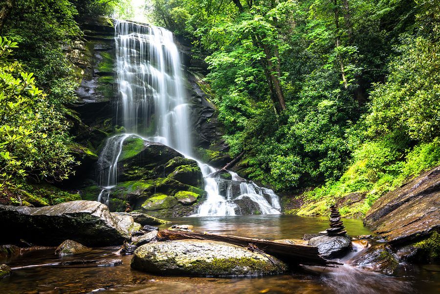 A waterfall is surrounded by trees and rocks in the middle of a forest.