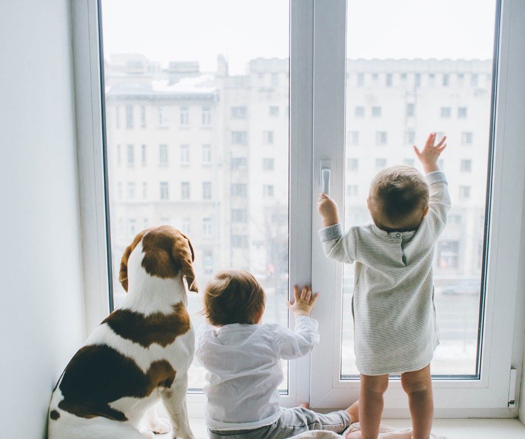 Two children and a dog are looking out of a window.