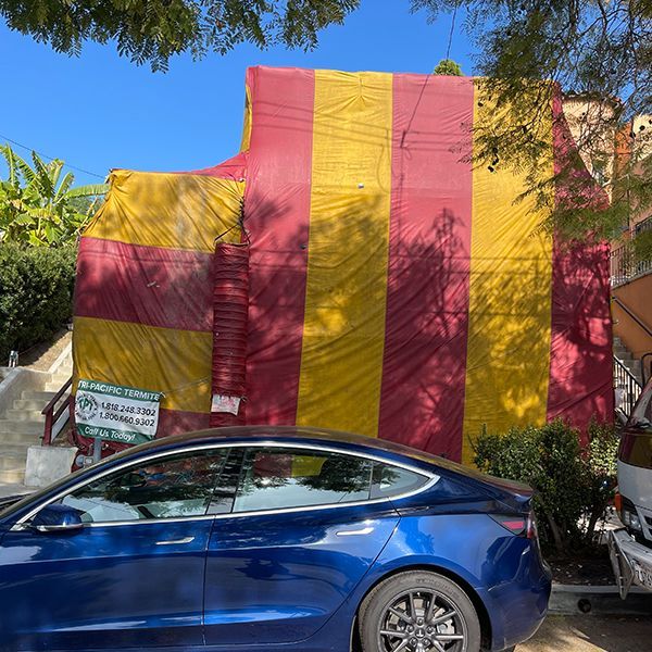 Tri-Pacific Termite Co