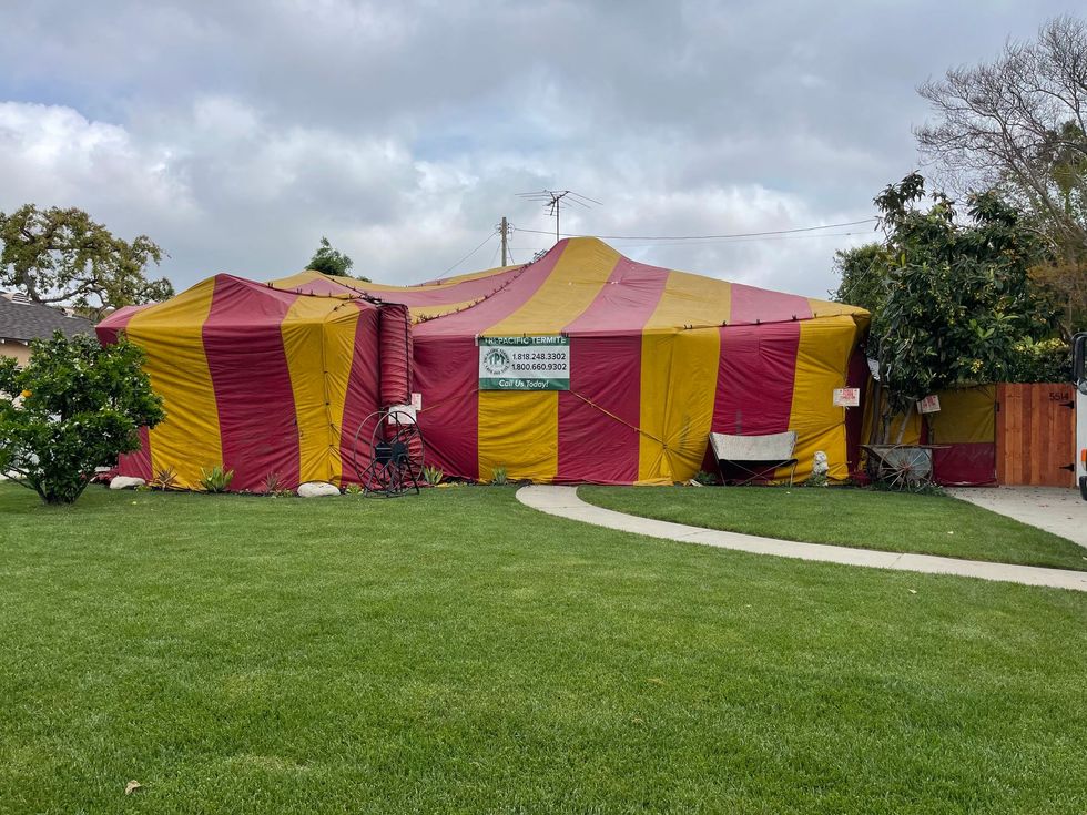 House tented with red and yellow striped tarp for pest control.