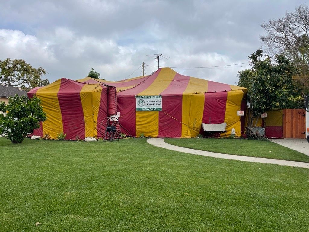 House covered in yellow and red tent for fumigation, person standing near entrance.