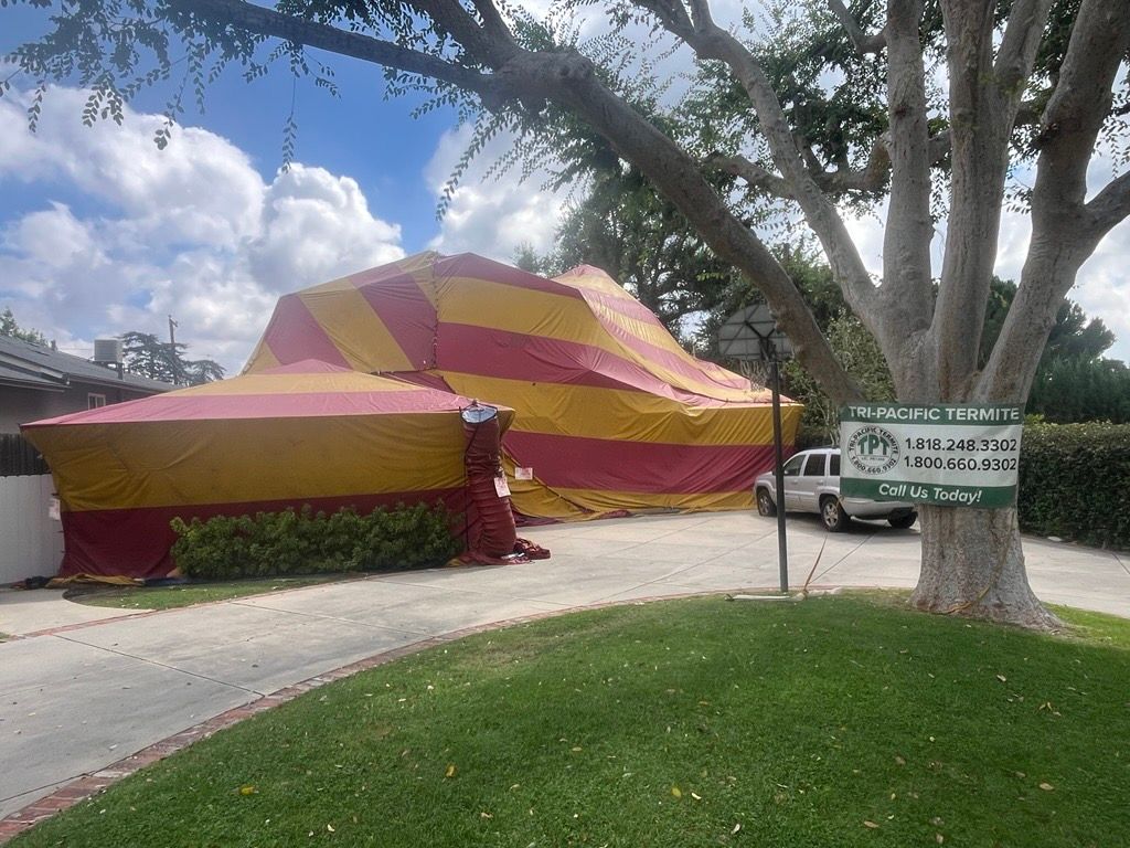 House tented for fumigation, covered in red and yellow tarps. Sign, car, and tree in the yard.