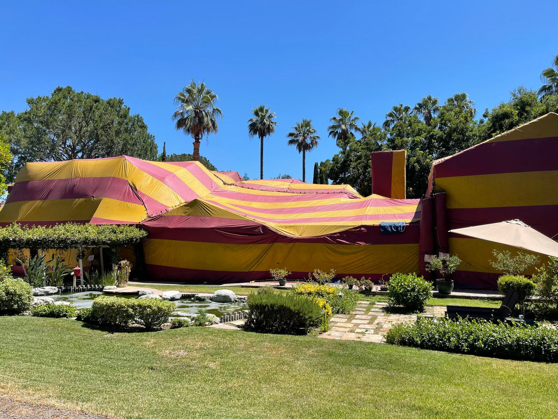 House tented with red and yellow striped tarp for pest control, in a sunny outdoor setting with a garden.