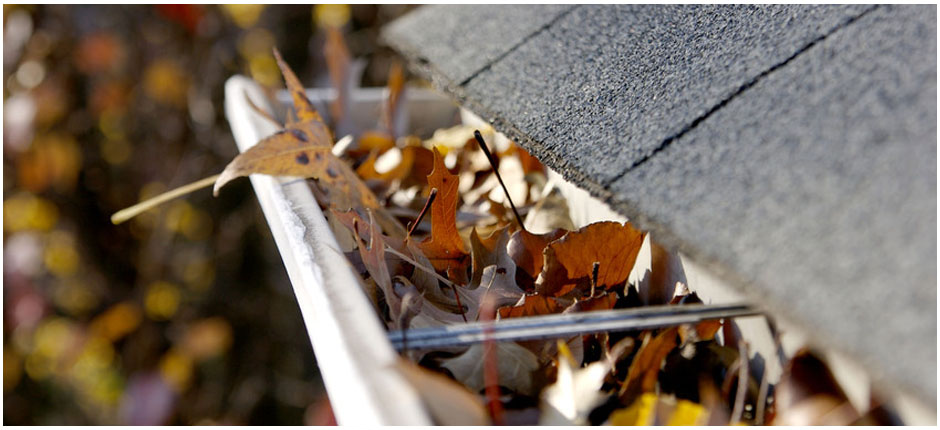 gutter services