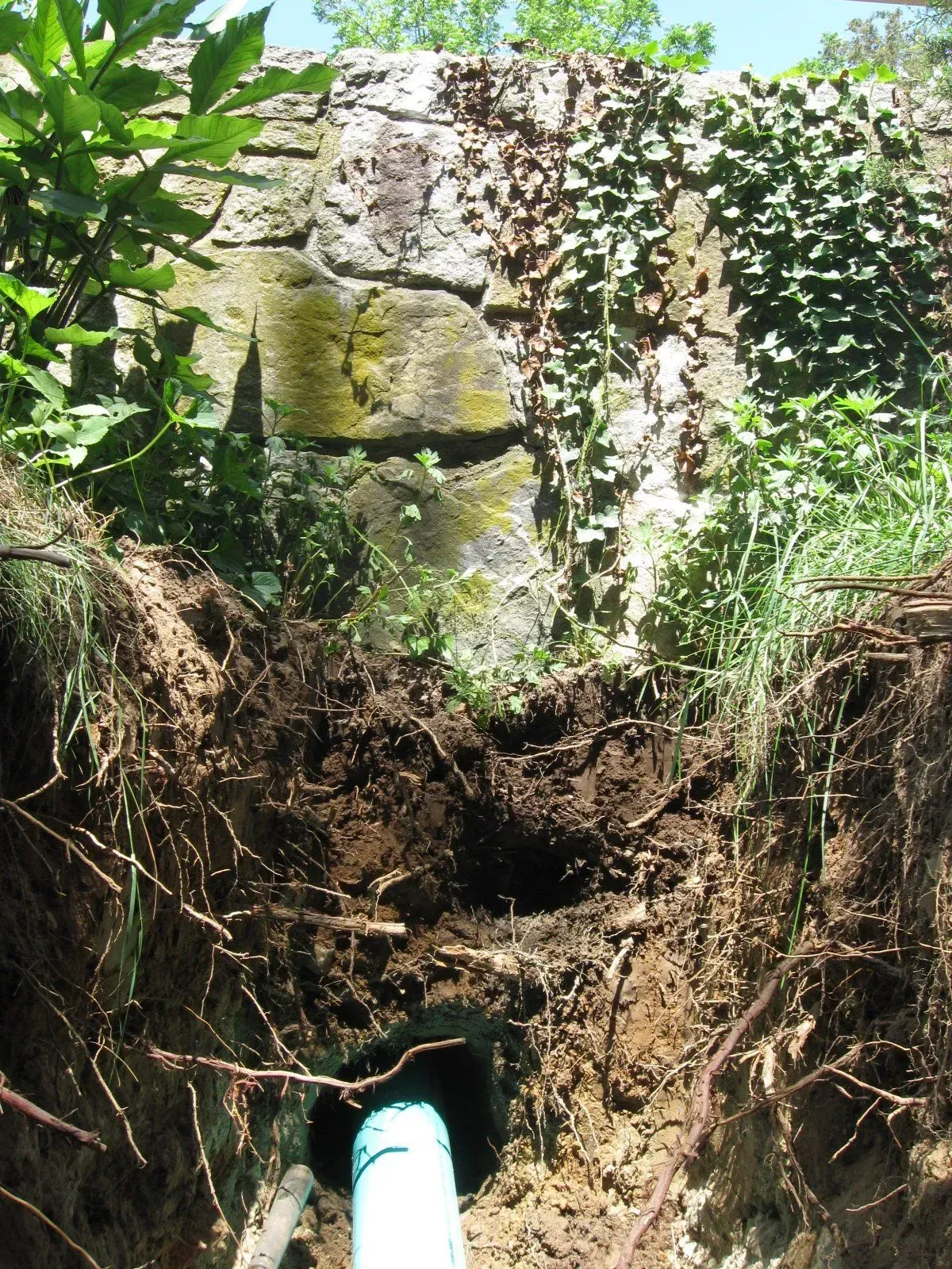 Rusty pipe emerging from a dirt trench beside a mossy stone wall and green plants