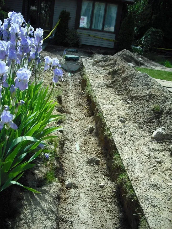 A garden trench dug beside purple flowers, with a house and walkway in the background