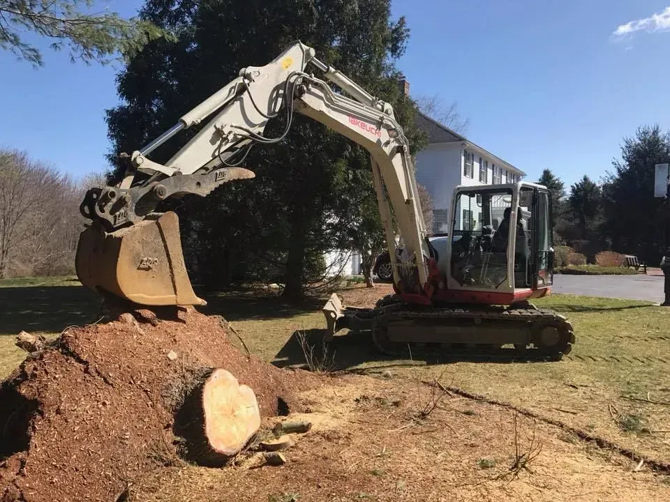 Excavator lifting a large tree stump in a grassy yard on a sunny day