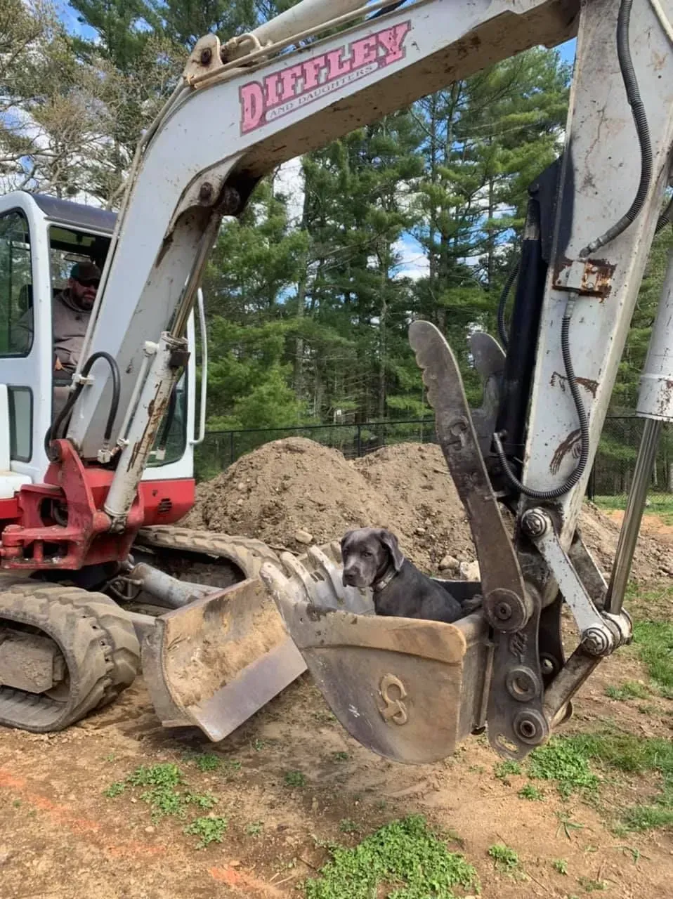 Excavator arm with bucket and claw attachment beside a dirt pile in a wooded area