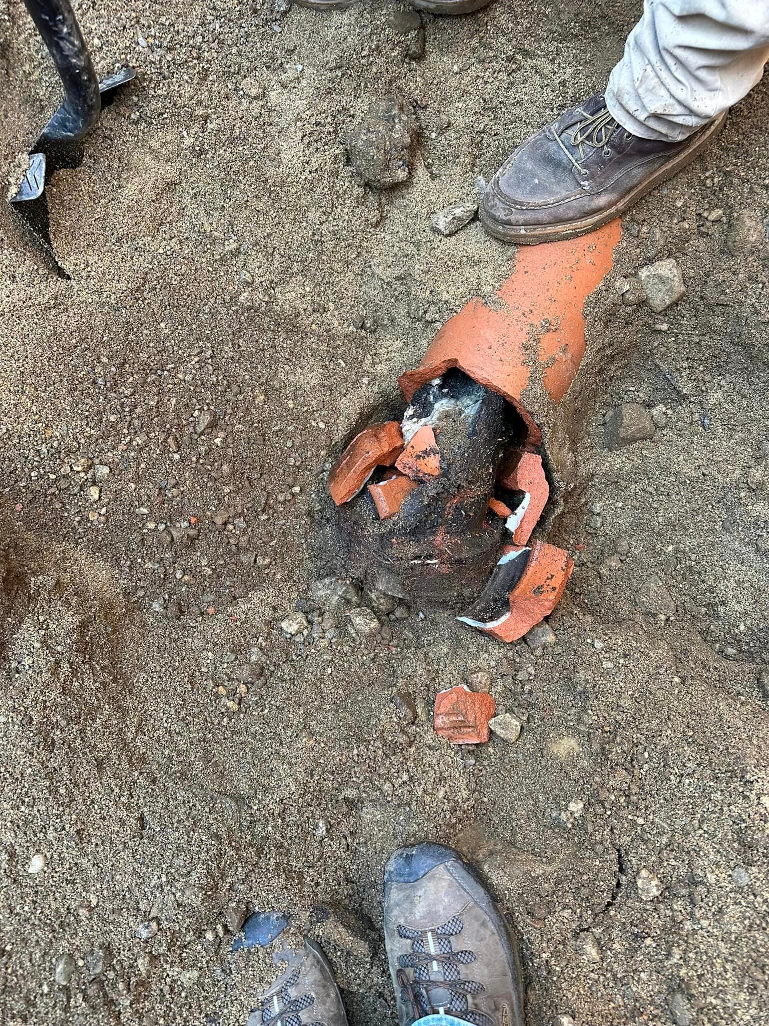 Hands hold a small muddy orange crab over gravel-covered ground, with shoes visible nearby.
