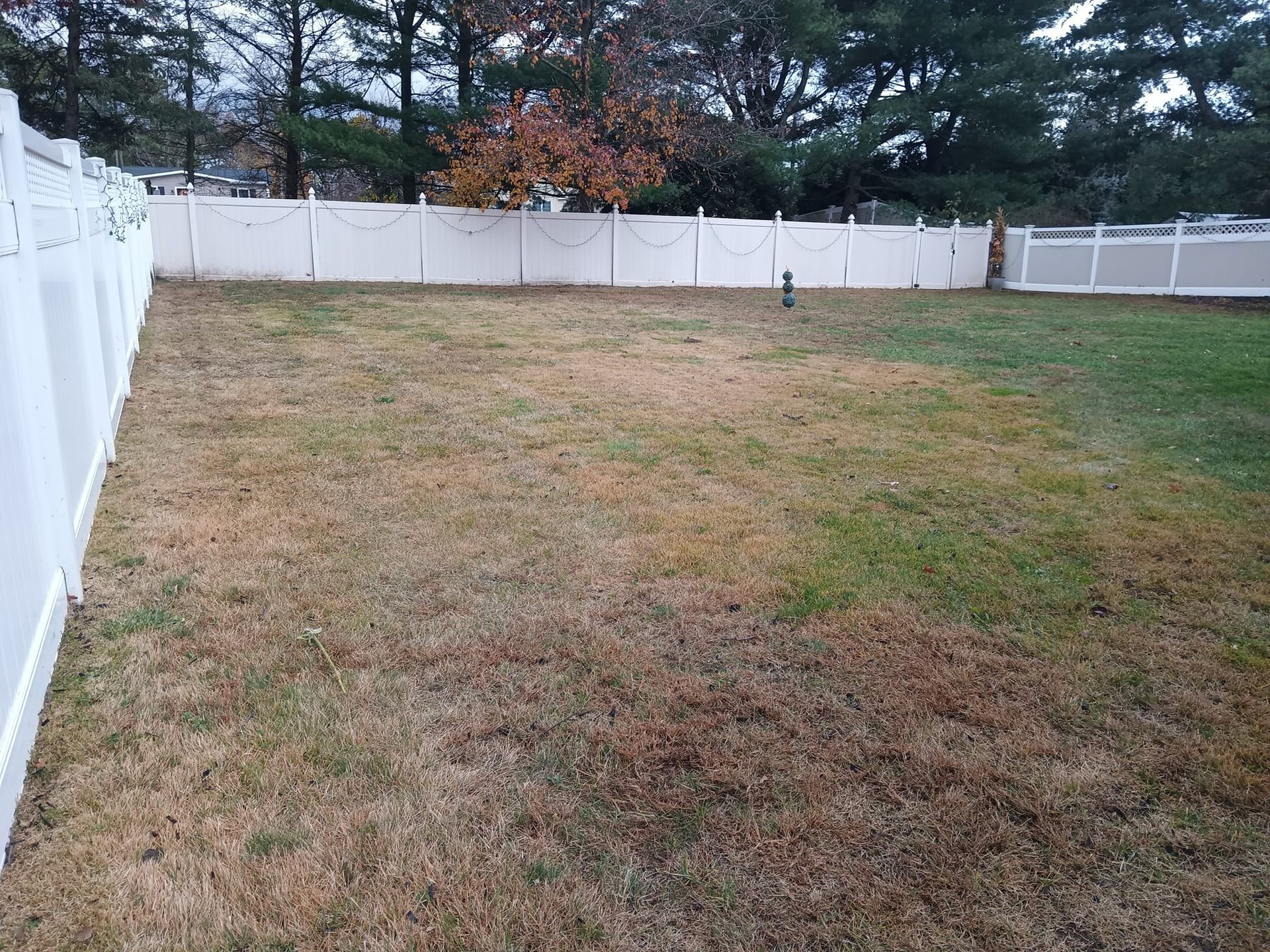 A large yard with a white fence and trees in the background.