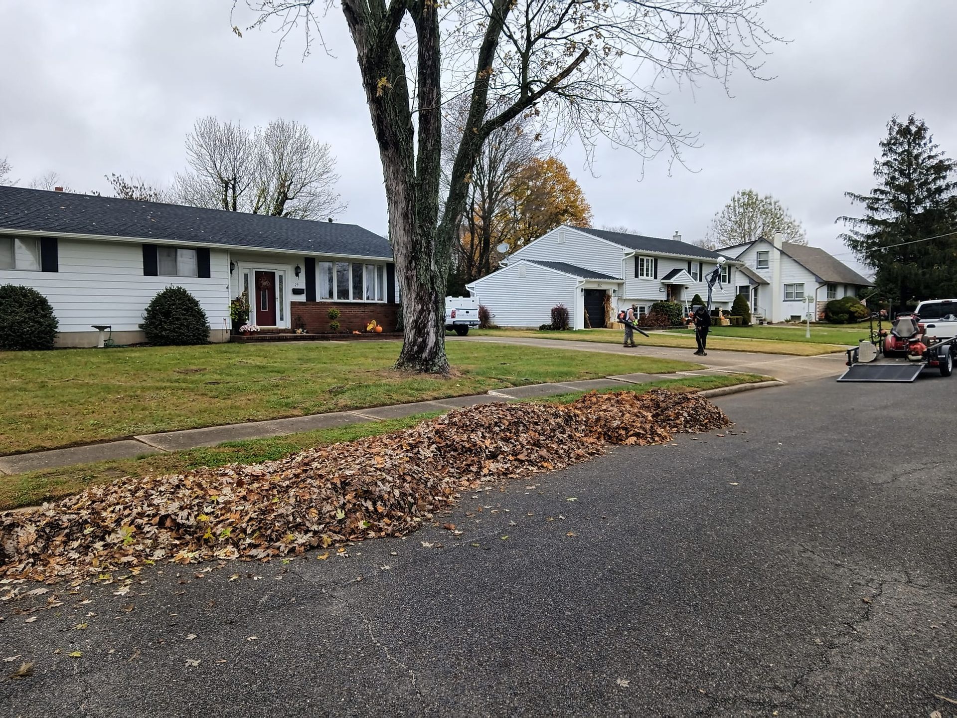 A man is blowing leaves on the side of the road in front of a house.