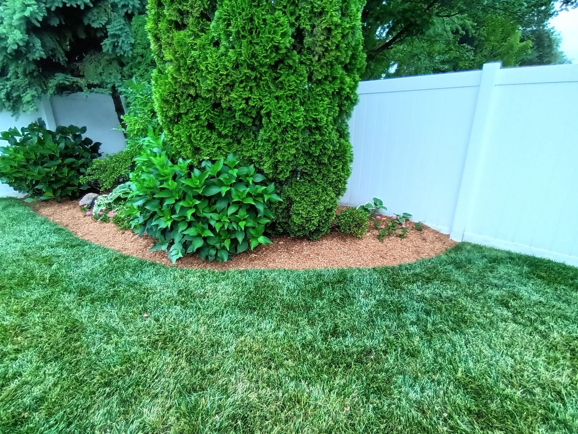 A lush green lawn with a white fence in the background.