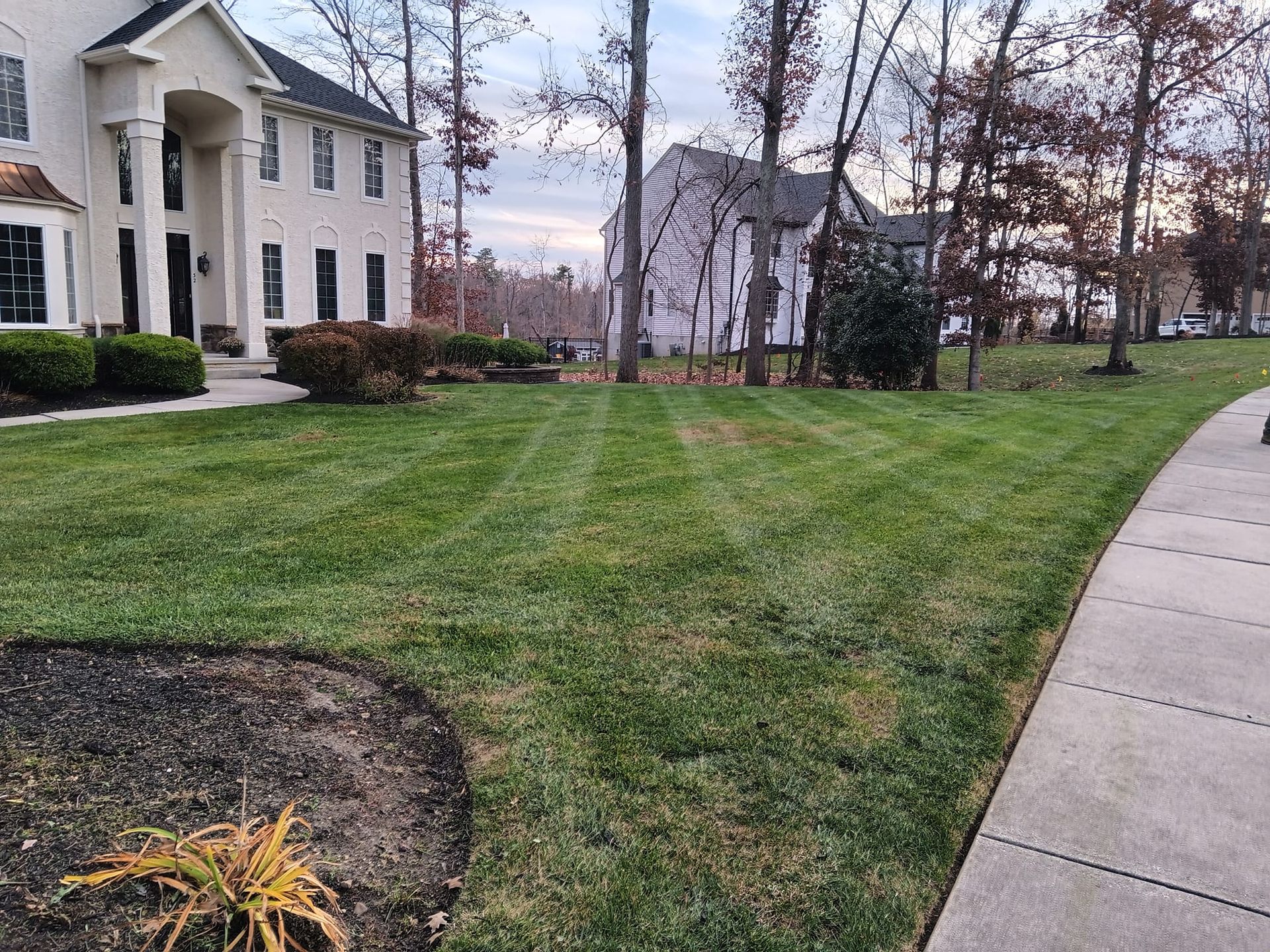 A house with a lush green lawn and a sidewalk in front of it.