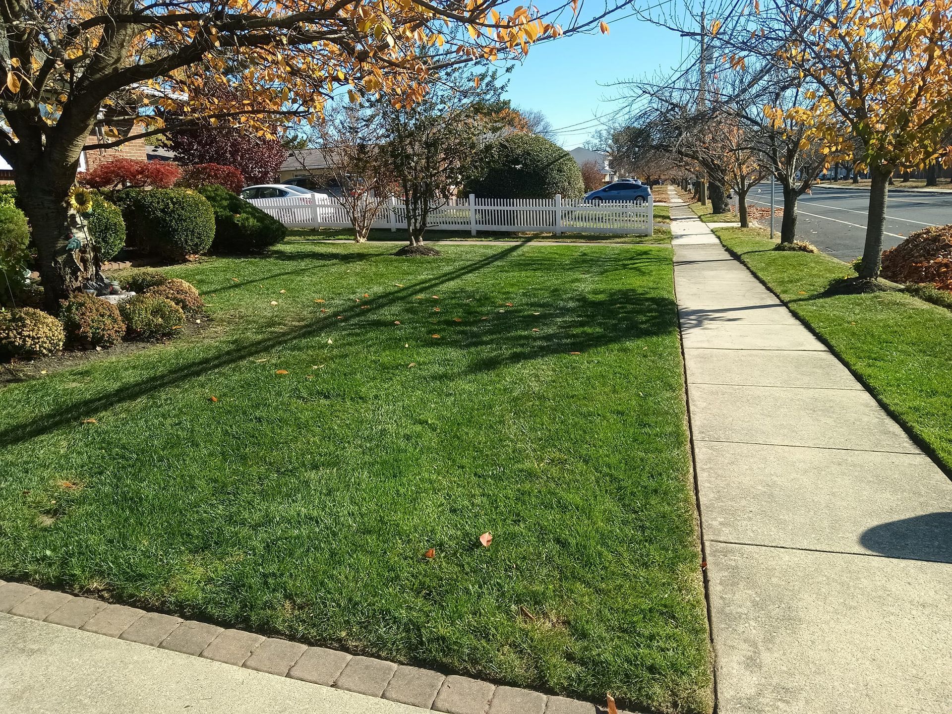 A sidewalk leading to a lush green lawn with a white picket fence