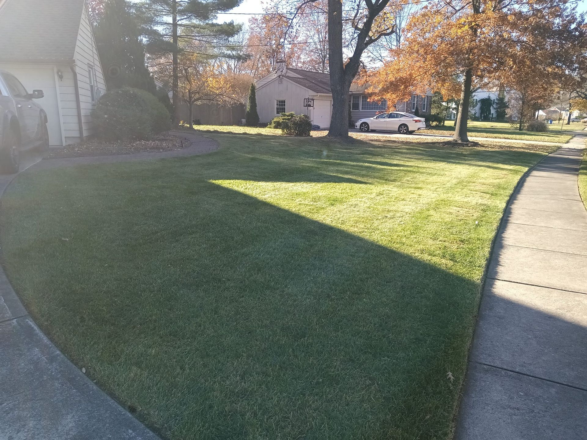 A lush green lawn with a sidewalk in front of a house.