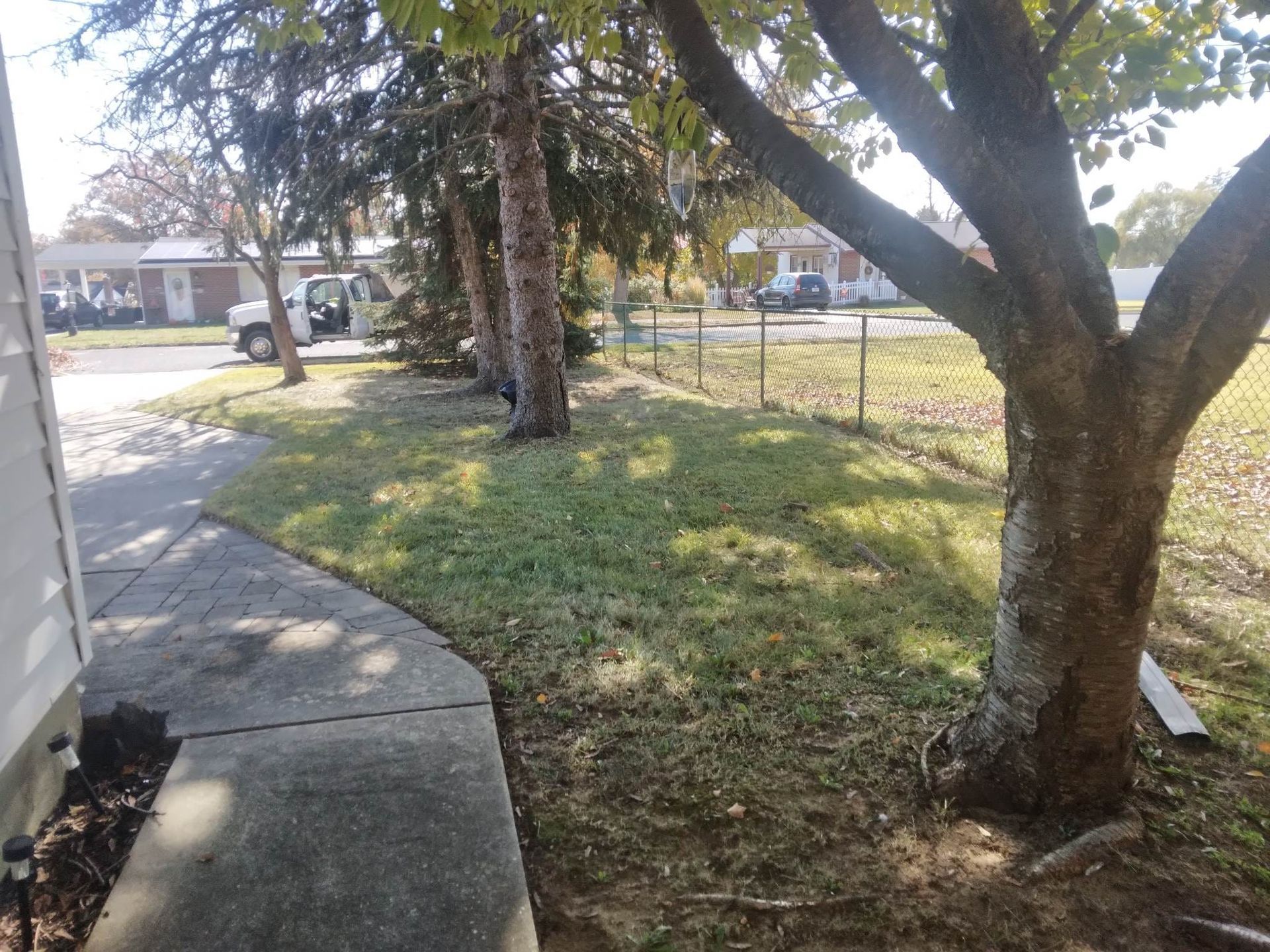 A white truck is parked on the side of the road next to a tree.
