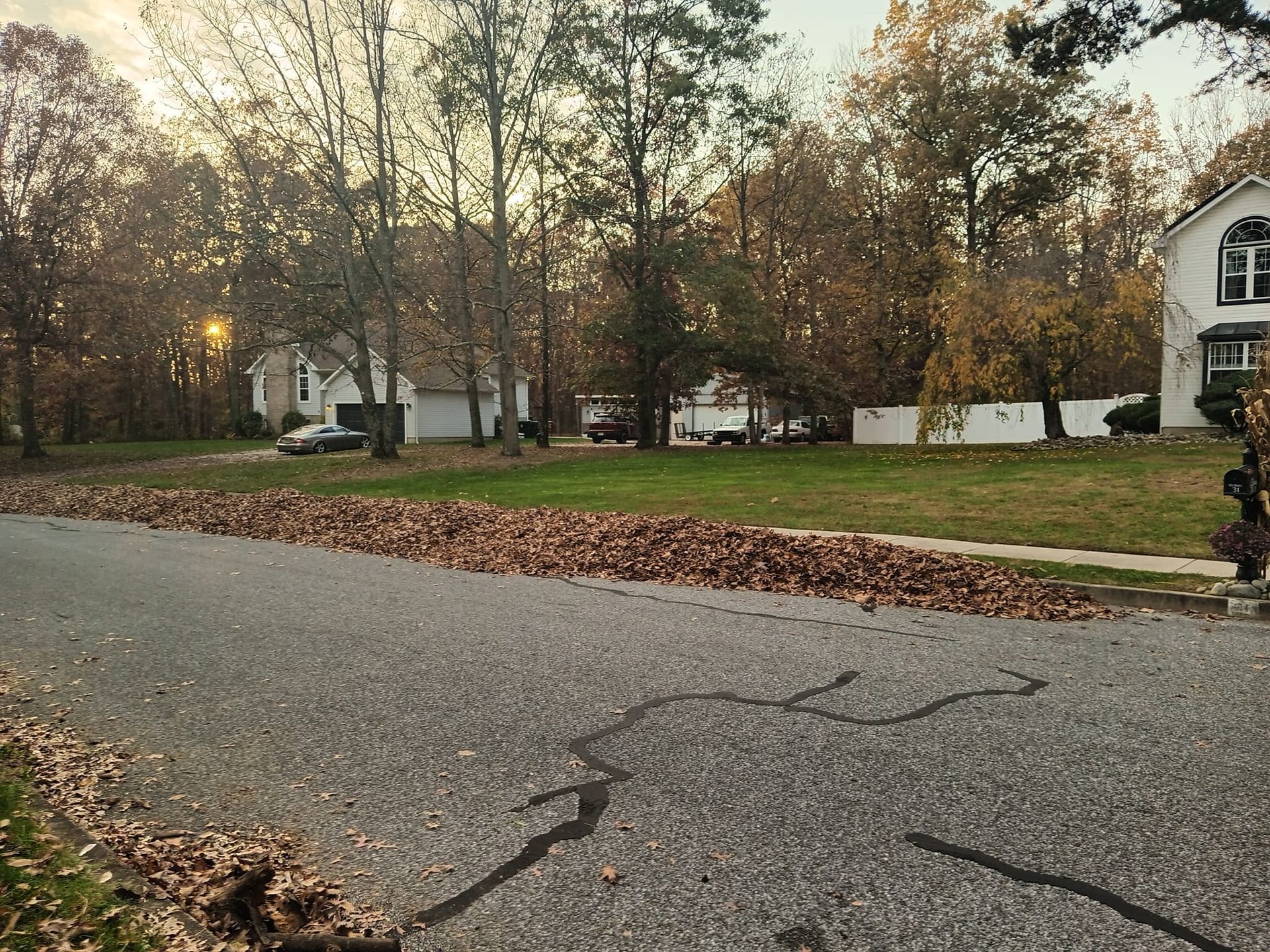 A street with a lot of leaves on the side of it and a house in the background.