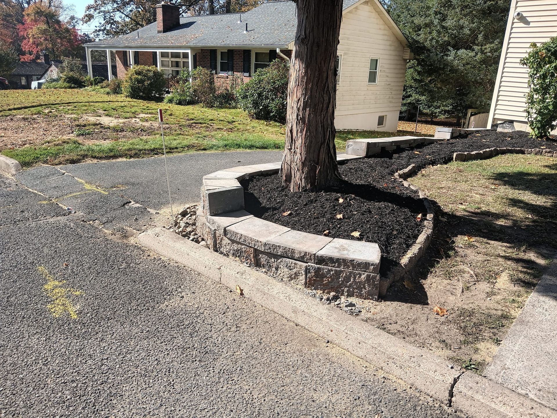 A tree is sitting in the middle of a driveway next to a house.