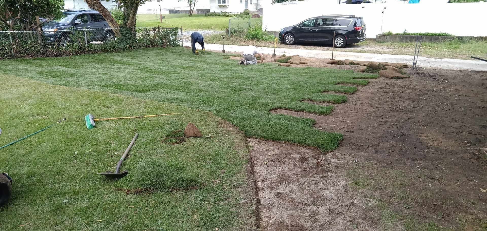 A black car is parked in a driveway next to a lush green lawn.
