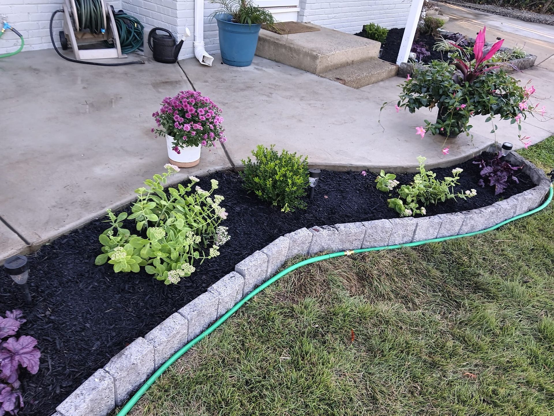 A garden with flowers and a hose in front of a house.