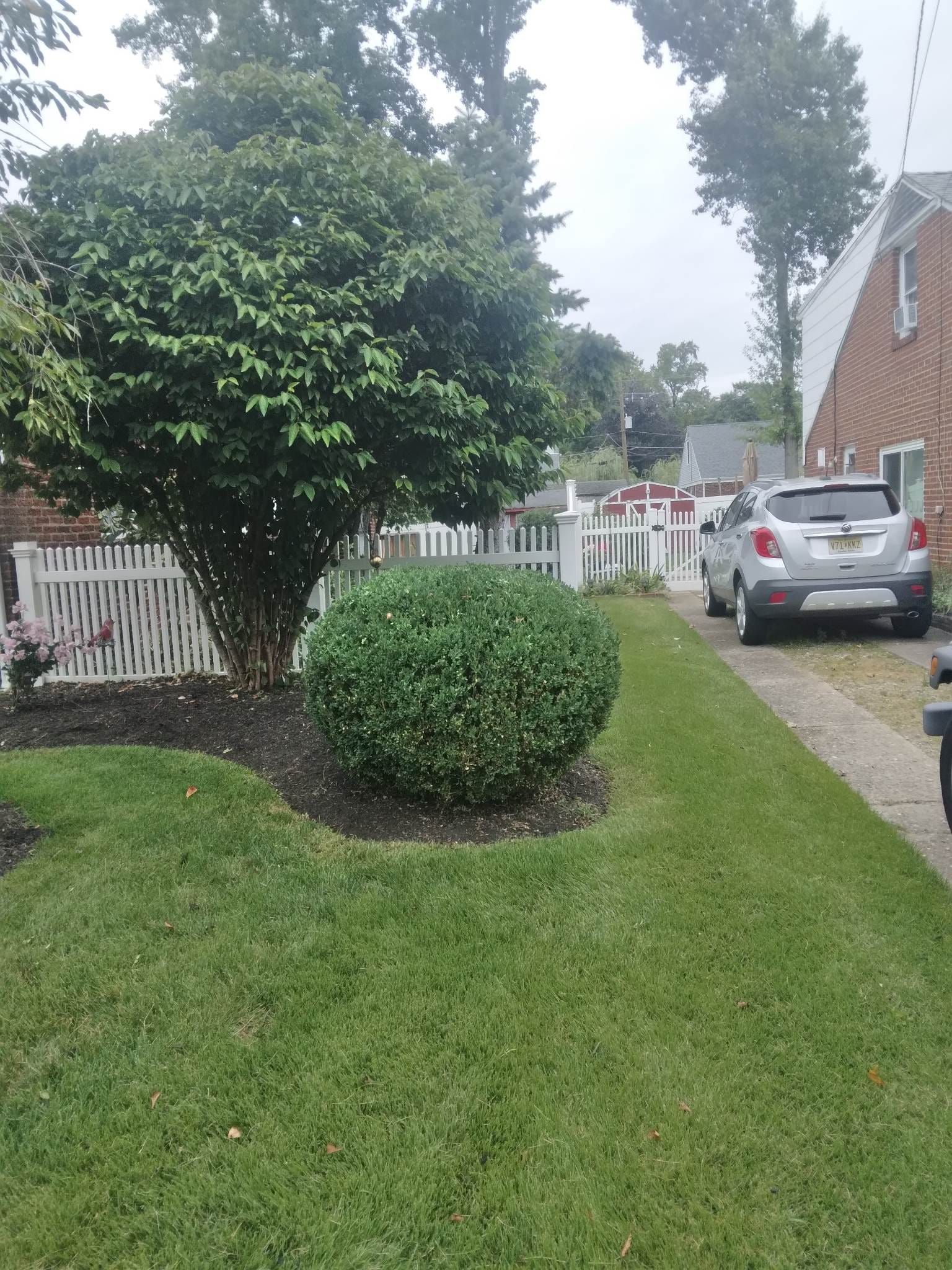A lush green yard with a white picket fence and cars parked on the side of the road.