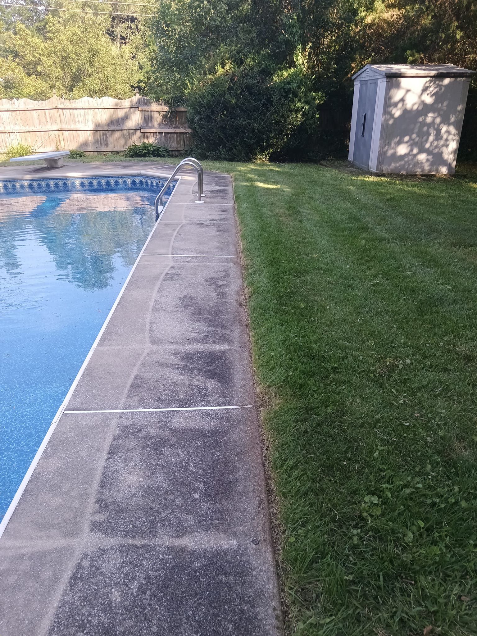A swimming pool is surrounded by a lush green lawn and a shed.