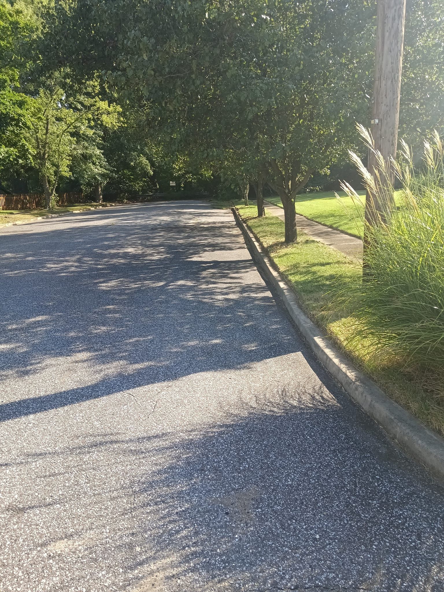 A road with a curb and trees on the side of it.