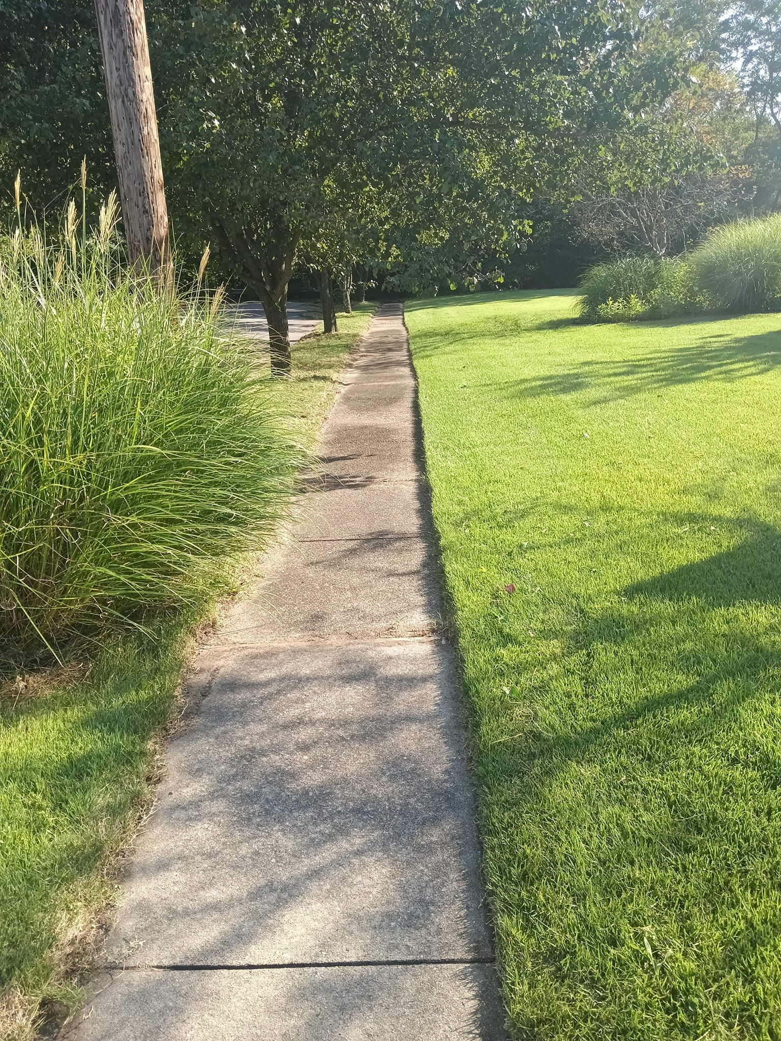 A sidewalk leading to a grassy field in a park.