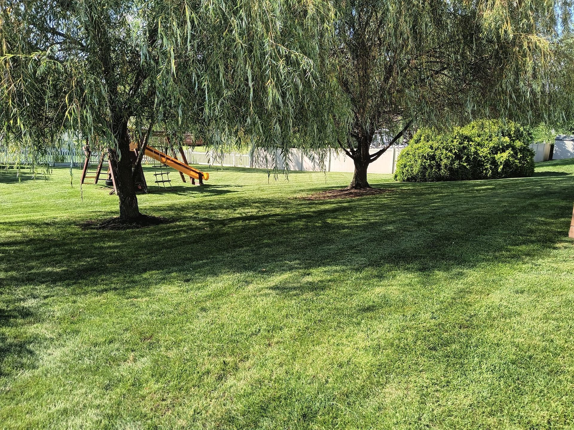 A lush green lawn with trees and a playground in the background.