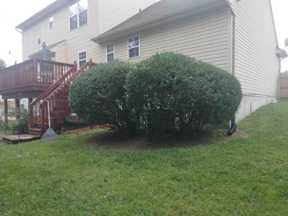 A house with a deck and bushes in front of it.