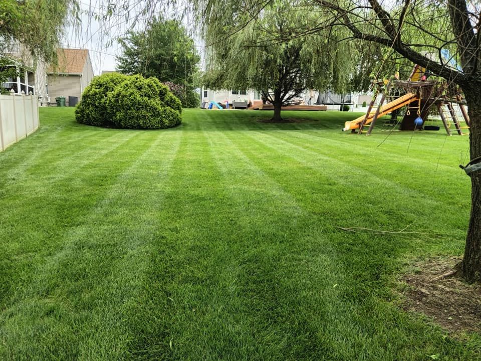 A lush green lawn with a playground in the background.