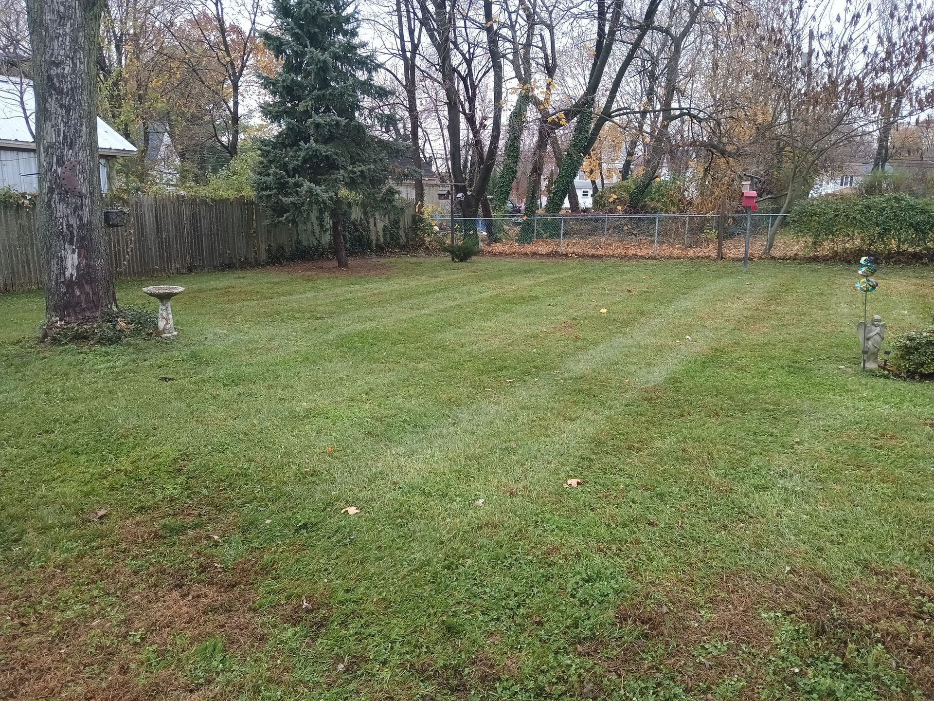 A lush green yard with trees and a bird bath in the middle of it.