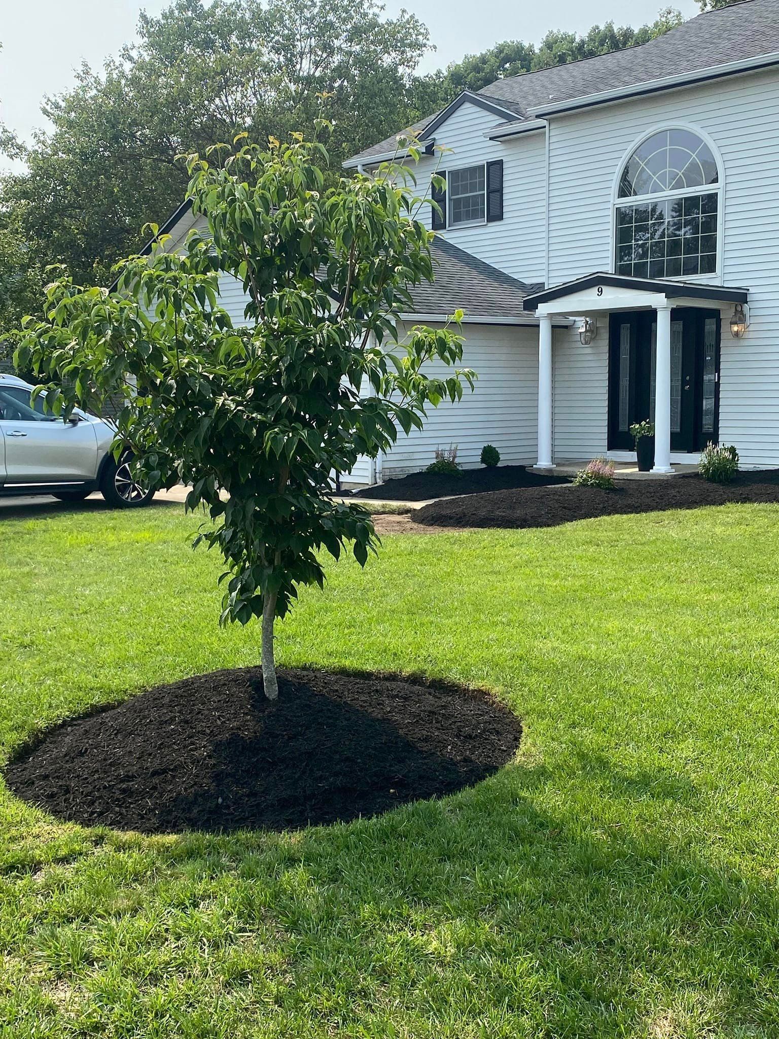 A white house with a car parked in front of it and a tree in front of it.