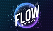 Go With The Flow the Experience