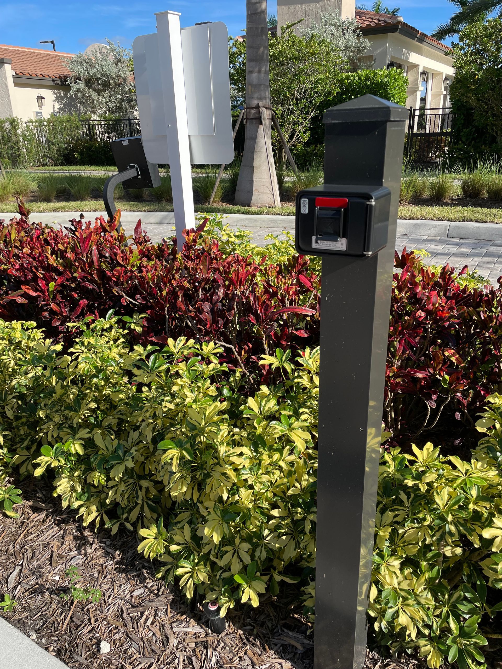 Pedestrian crossing button on a post beside colorful shrubs in a residential neighborhood